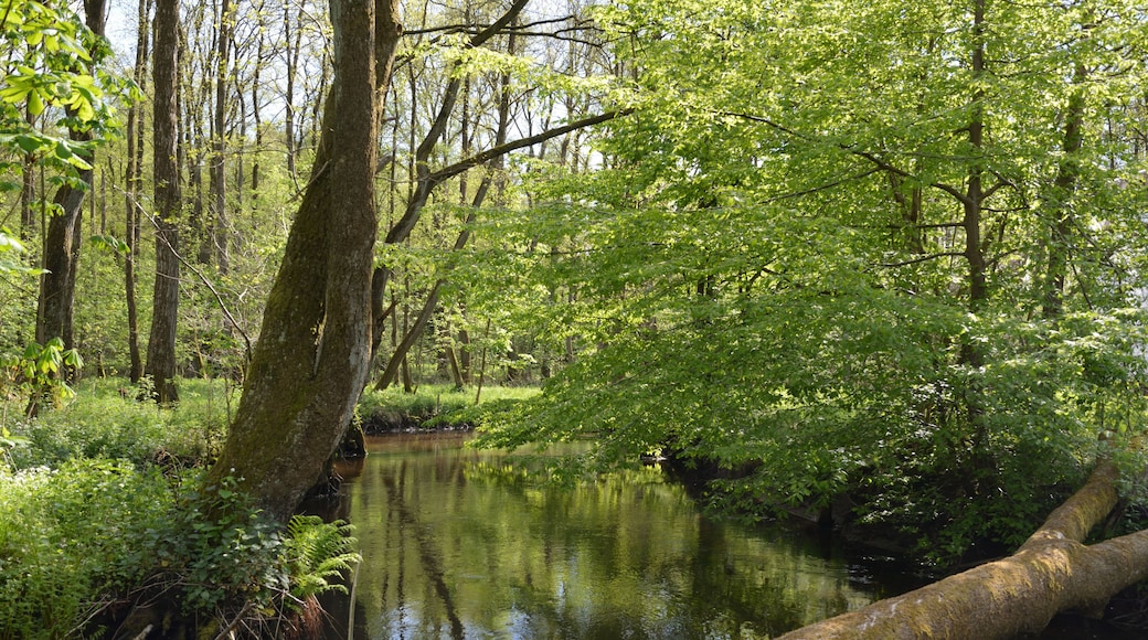 This is a picture of the protected area listed at WDPA under the ID