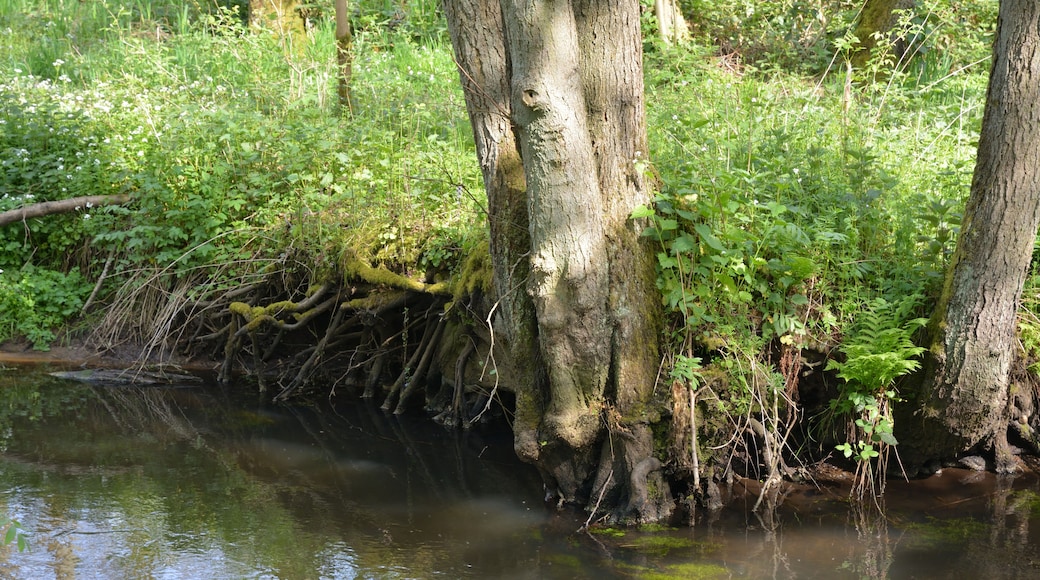 This is a picture of the protected area listed at WDPA under the ID