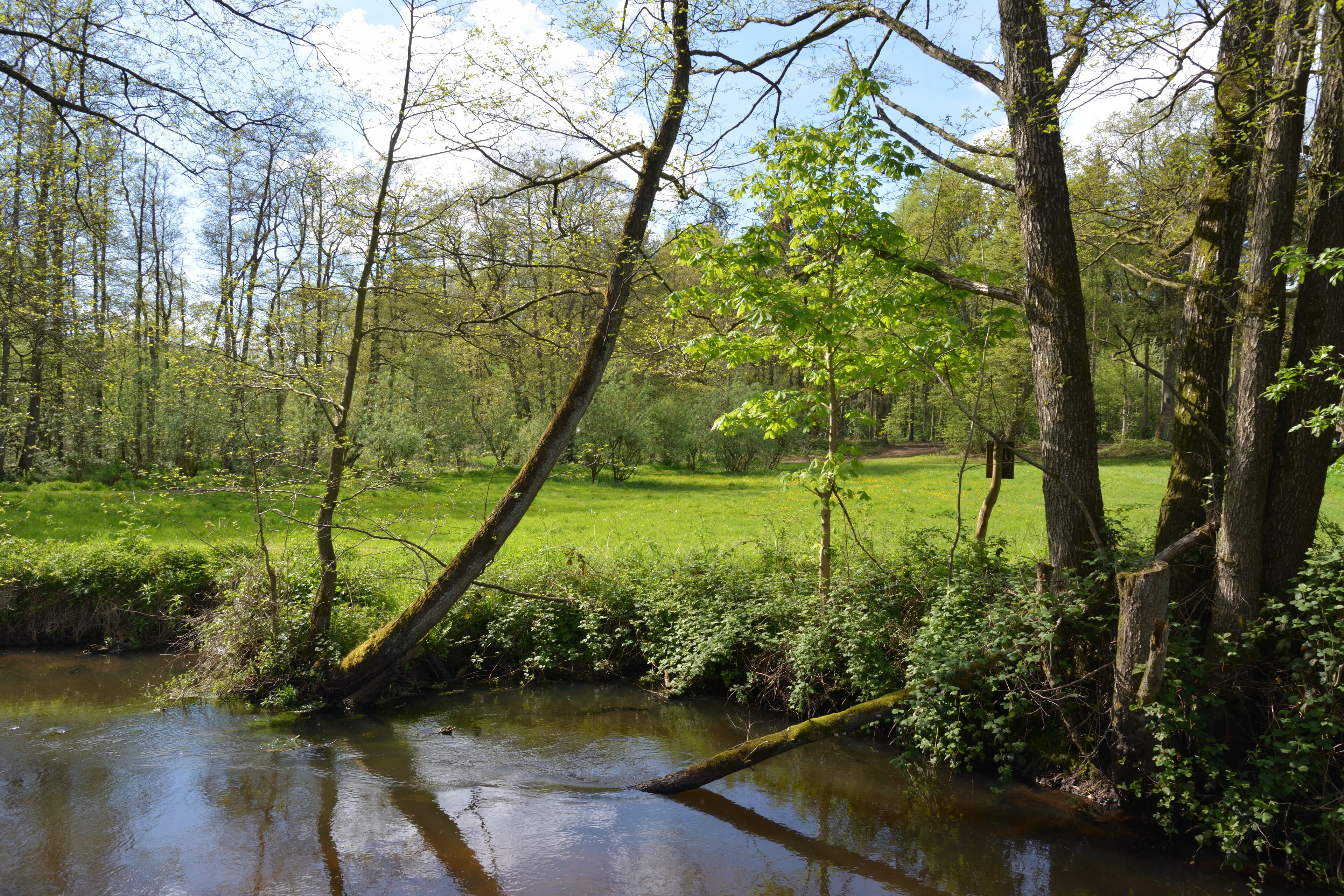 This is a picture of the protected area listed at WDPA under the ID