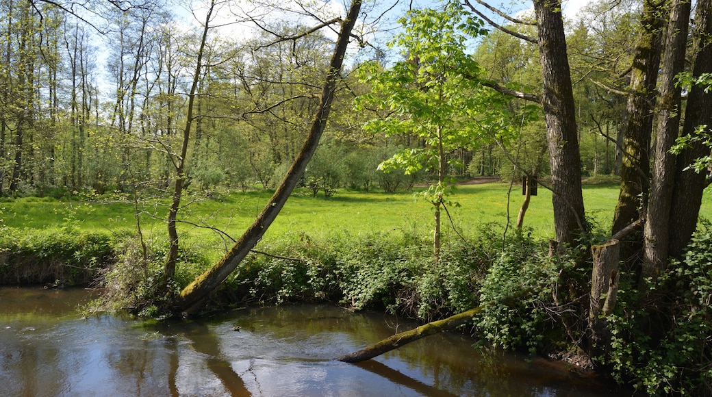 This is a picture of the protected area listed at WDPA under the ID