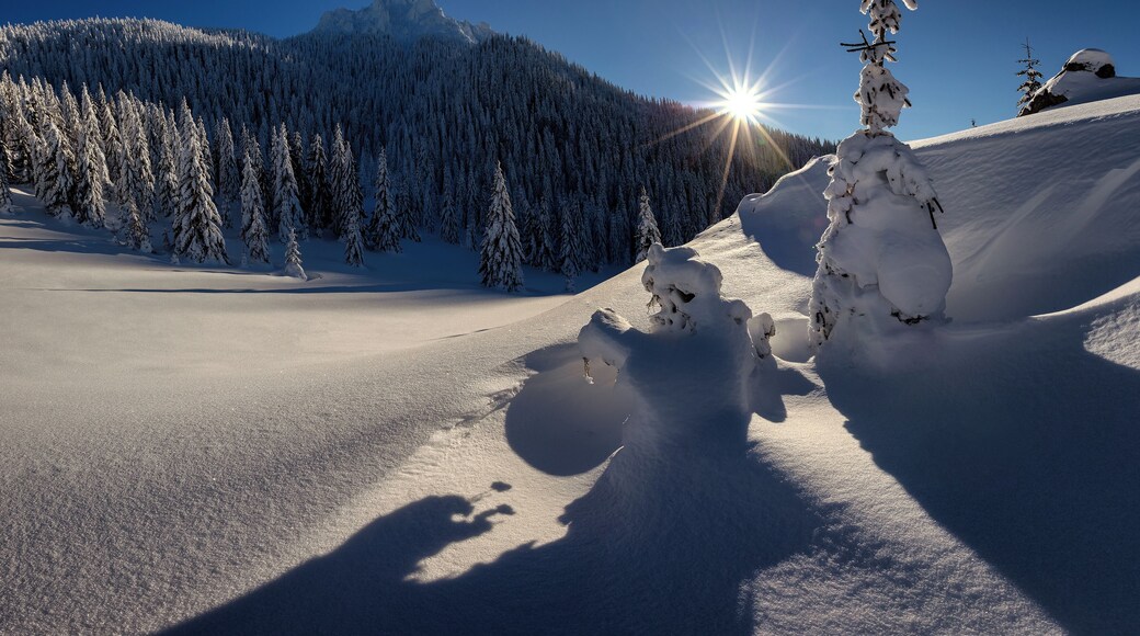 Winter Hike to Velky Rozsutec. Photo was taken from Medzirozsutce in Mala Fatra region in Slovakia. It is an amazing hike the gorge named Janosikove Diery.
#Adventure #landscape #nature #mountains #snow #winter #travel #hike
