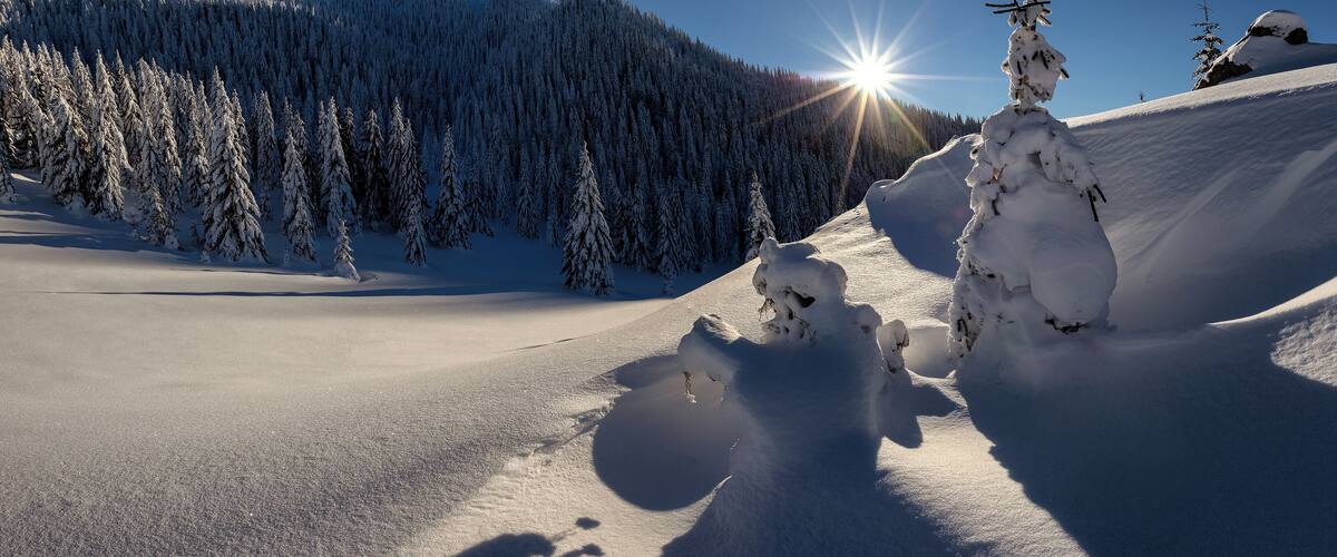 Winter Hike to Velky Rozsutec. Photo was taken from Medzirozsutce in Mala Fatra region in Slovakia. It is an amazing hike the gorge named Janosikove Diery.
#Adventure #landscape #nature #mountains #snow #winter #travel #hike