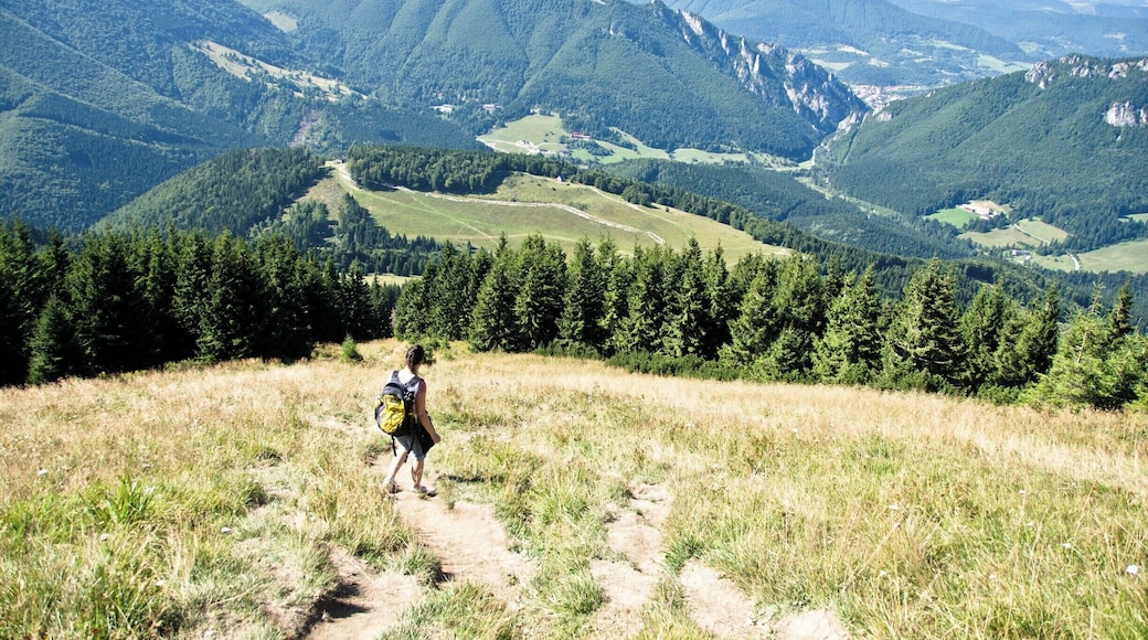 Vratna ski resort is beautiful without snow too.
#lifeatexpedia #GreatOutdoors #Perspectives #Nature #Adventure