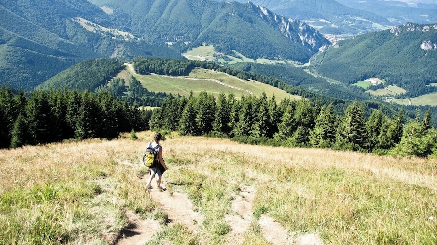 Vratna ski resort is beautiful without snow too.
#lifeatexpedia #GreatOutdoors #Perspectives #Nature #Adventure