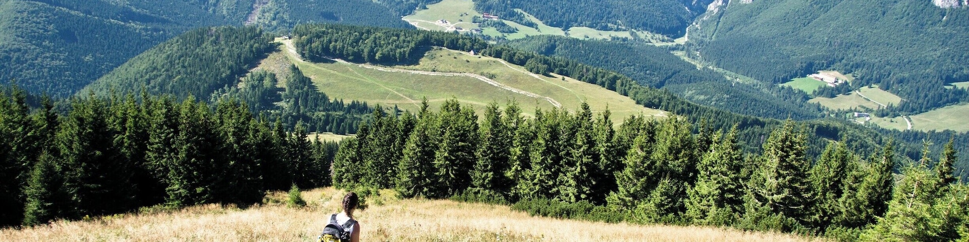 Vratna ski resort is beautiful without snow too.
#lifeatexpedia #GreatOutdoors #Perspectives #Nature #Adventure