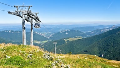 0_2fbf5efe-9608-4bdb-9cb8-7dbadfcae326_raw