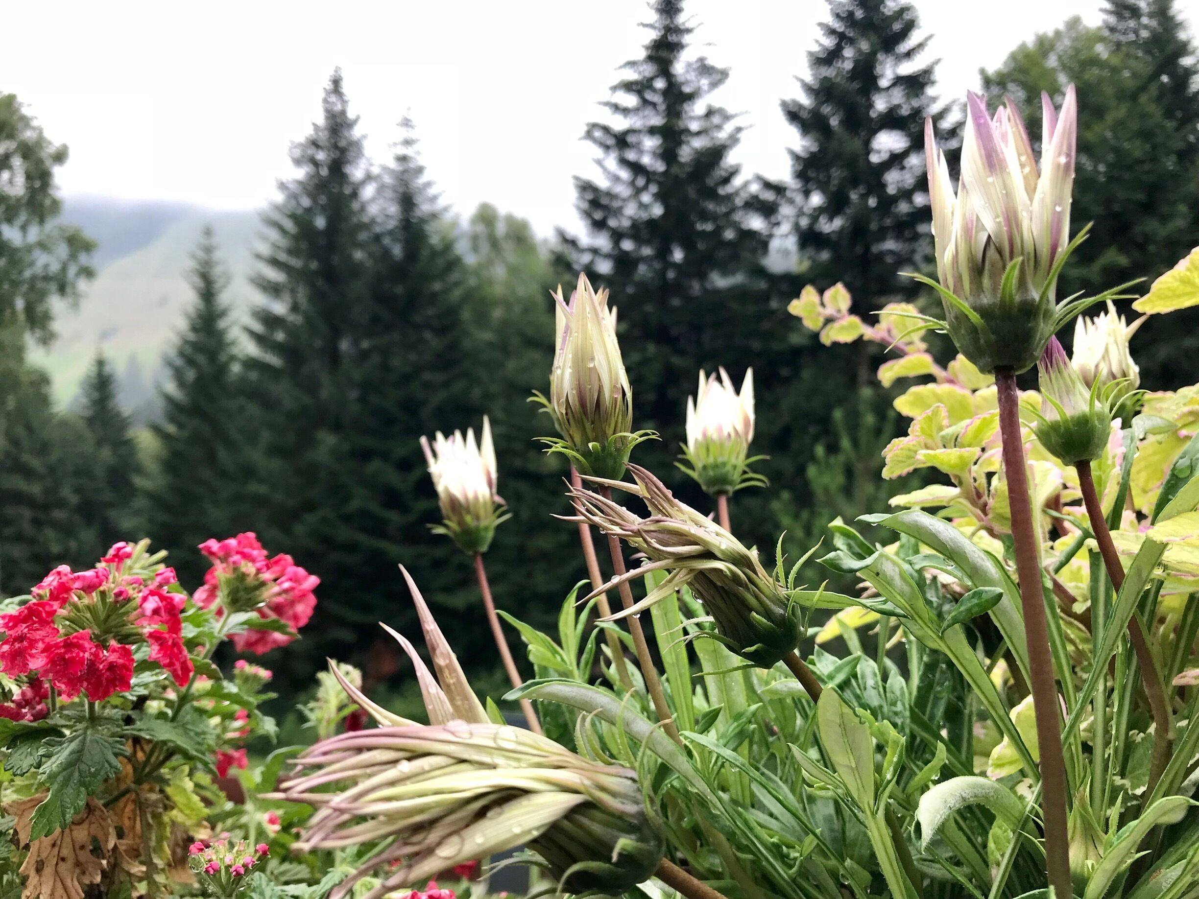 Beautiful spot for relaxing in mountains