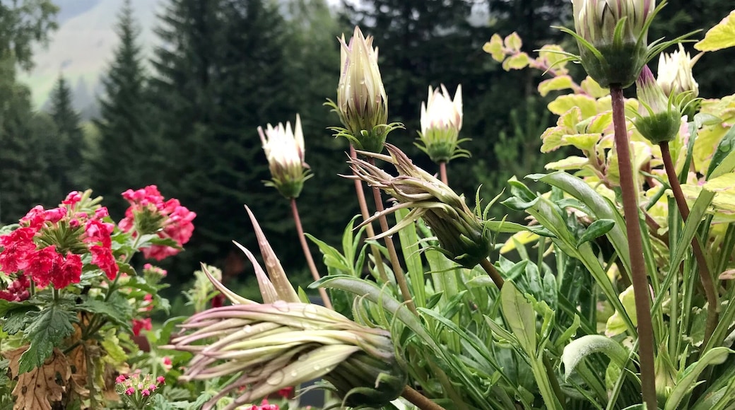 Beautiful spot for relaxing in mountains