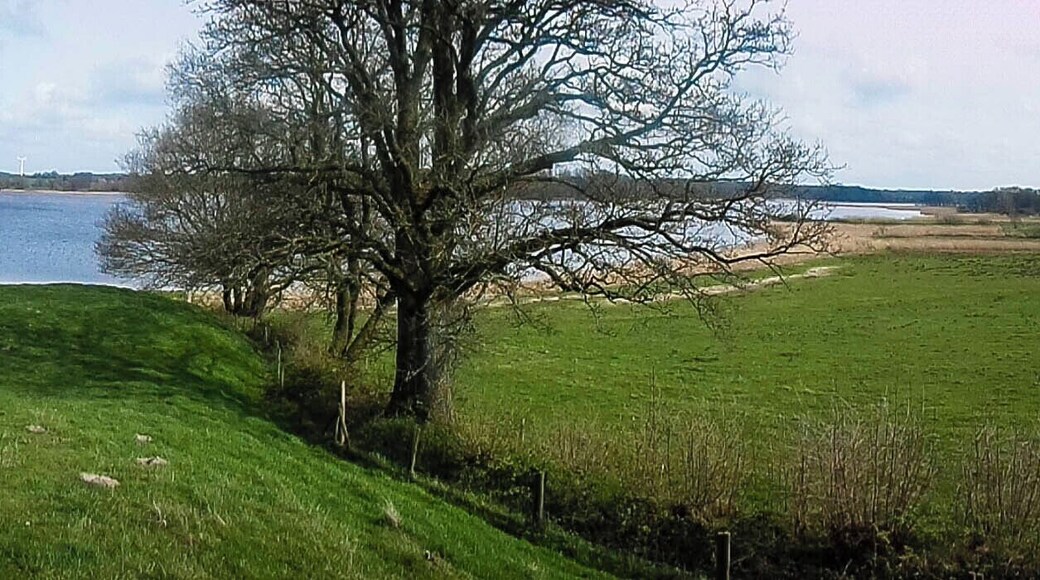 Haddebyer Noor 180° Pano