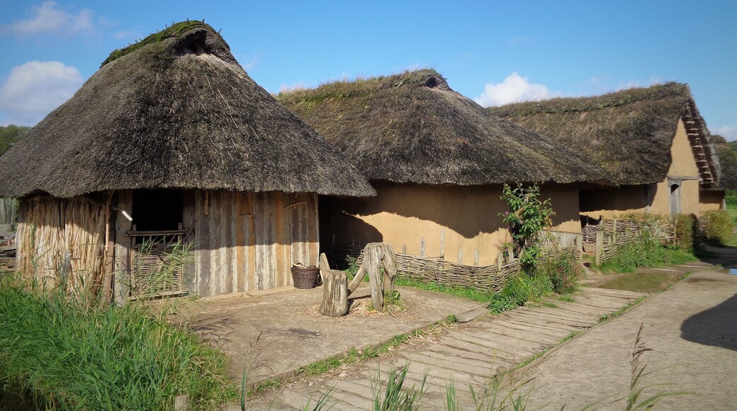 Gebäude im Wikinger-Museum Haithabu: Vorn links das Haus des Holzhandwerkers, in der Mitte das Haus der Händler, hinten das Haus des Tuchhändlers.