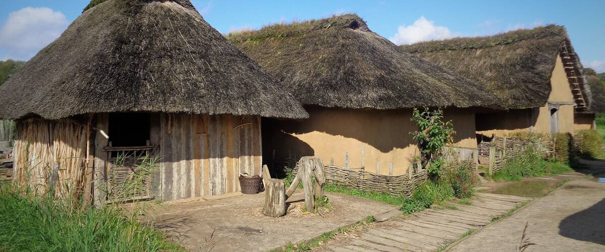 Traditional thatched-roof houses with a dirt path in a rural setting.