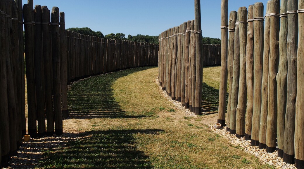 Detail of Goseck Circle (prehistoric solar observatory)