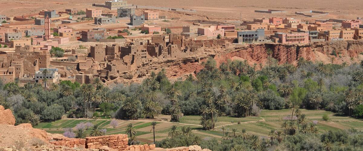 A desert landscape with a town built on a hillside, featuring traditional mud-brick buildings and palm trees.