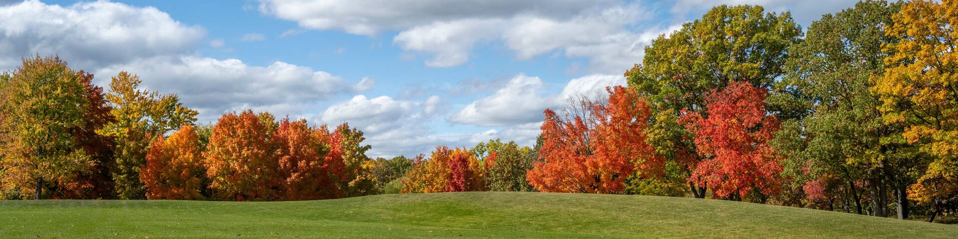 Fall colors at Marshbank Park in West Bloomfield, Michigan