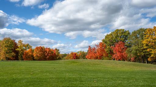 西布盧姆菲爾德