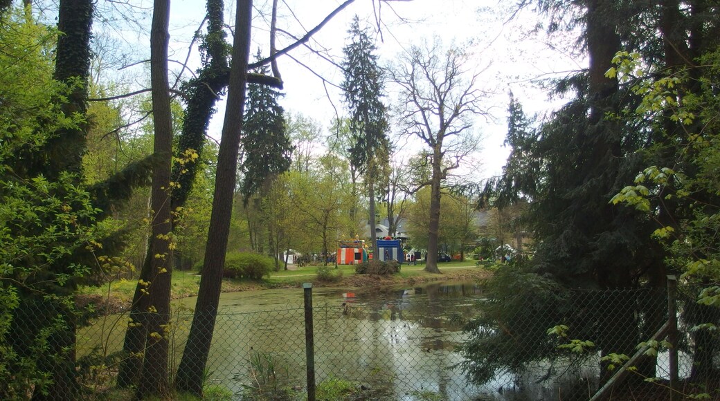 Park- zamek Kliczków