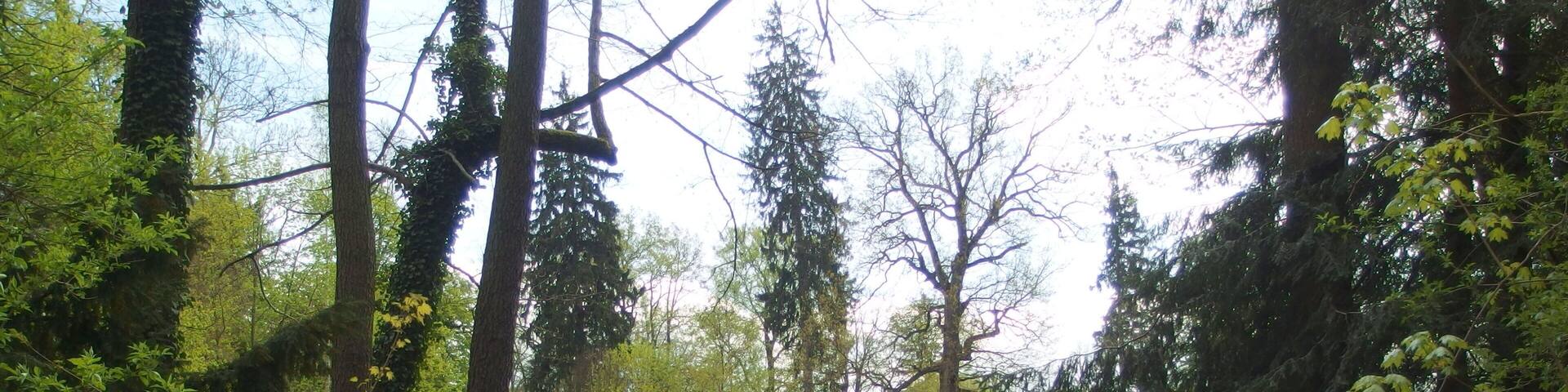 Park- zamek Kliczków