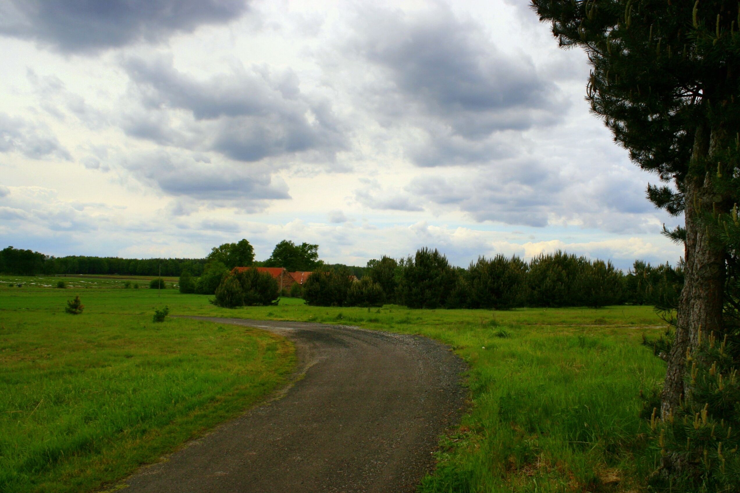 Widok ze wzgórza-w oddali pola truskawkowe