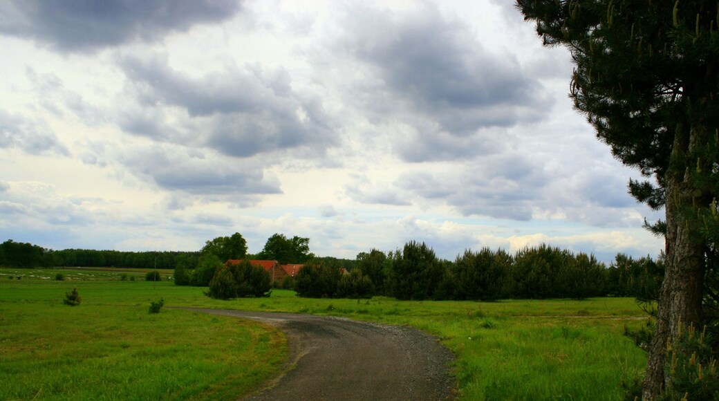 Widok ze wzgórza-w oddali pola truskawkowe