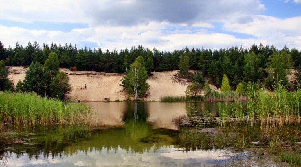 Błękitek w zieleni