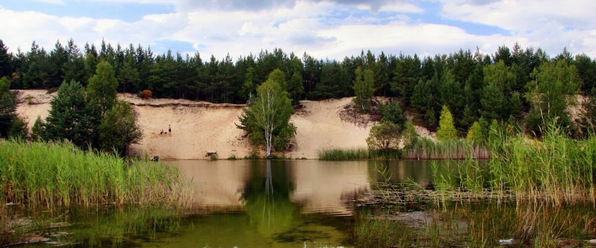 Błękitek w zieleni