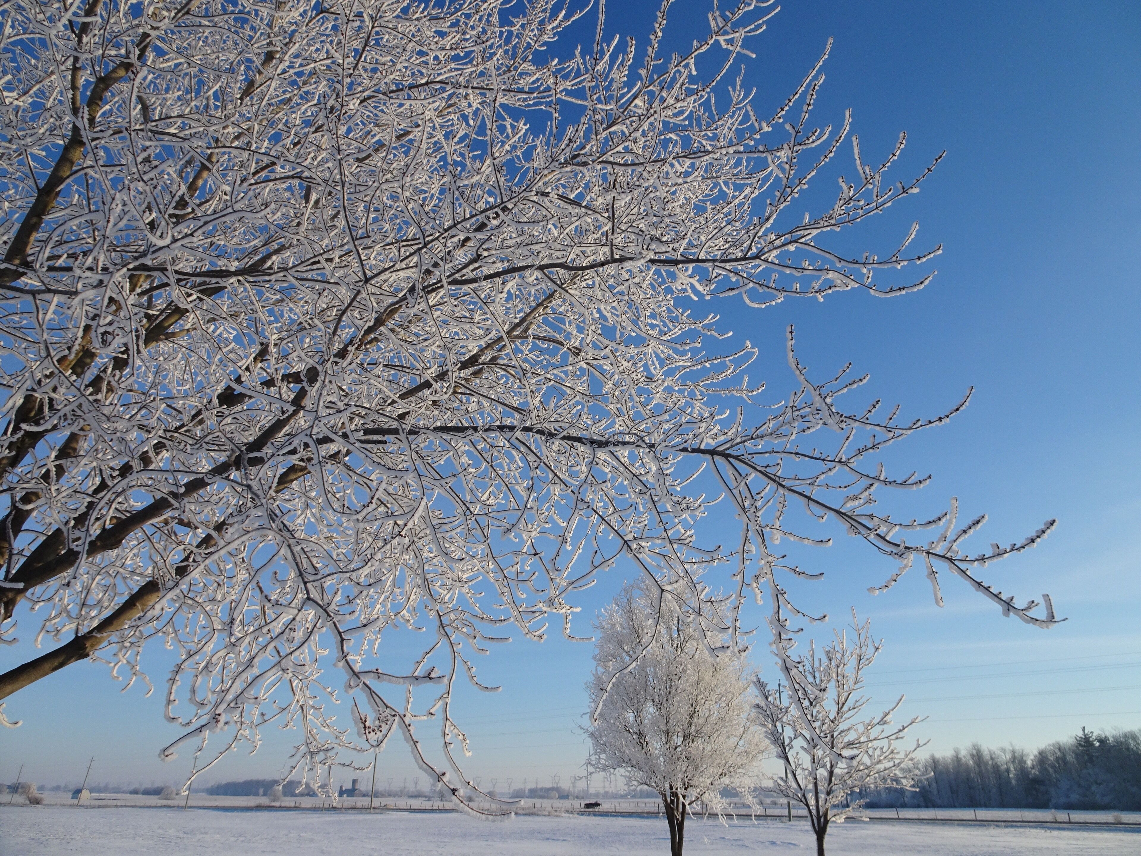 Early frosty March morning ! #winter #Canada #whenNatureisthisbeautiful