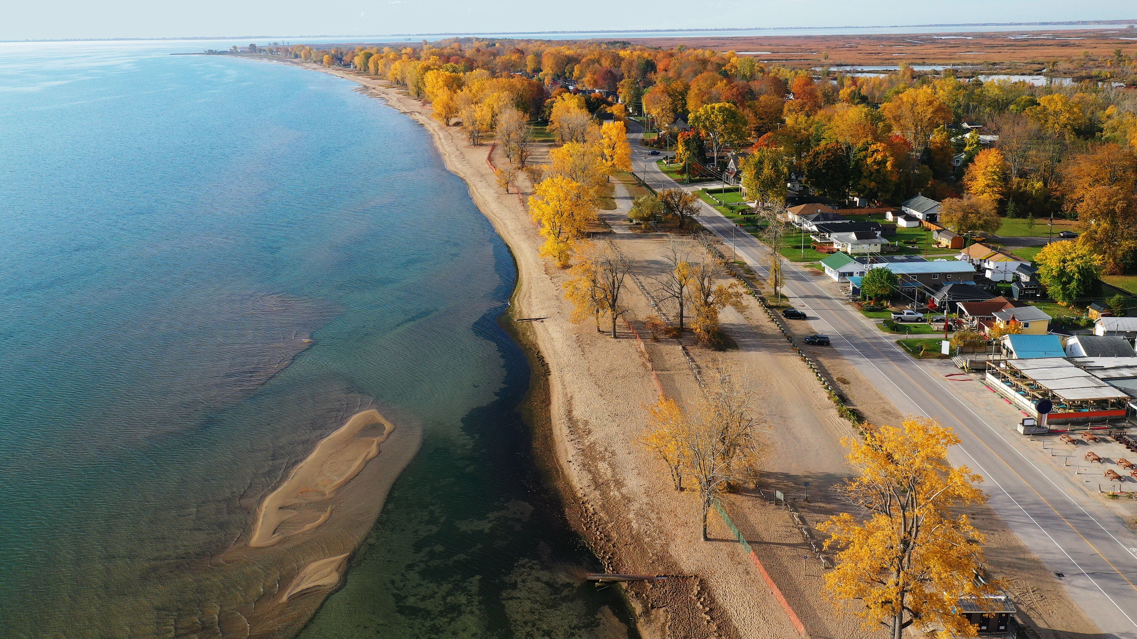 A coastal town with autumn foliage, a beach, and residential houses.