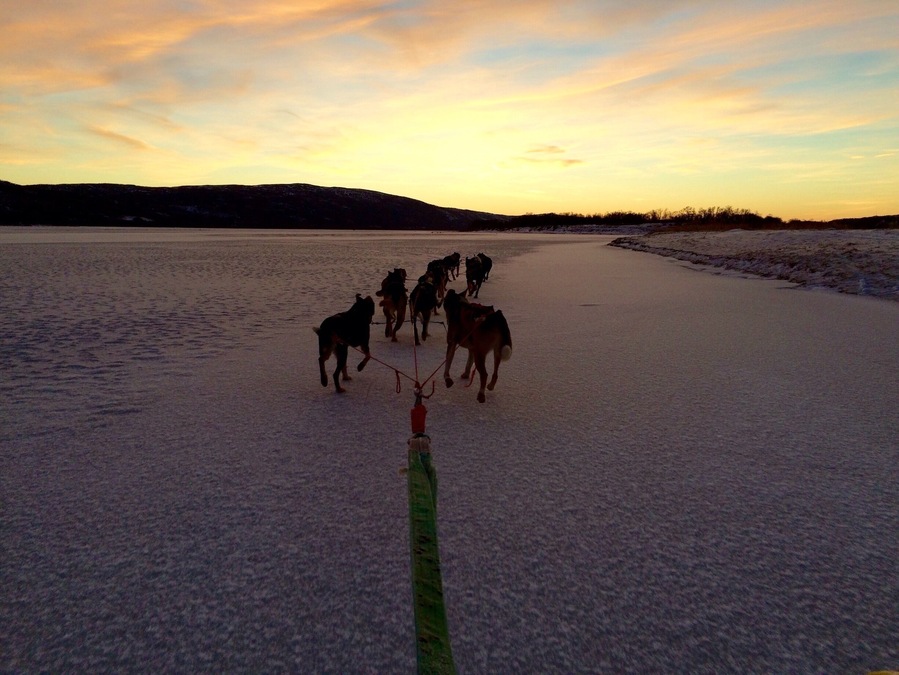 What an amazing way to spend a few hours - husky sledding through the snow with Dag from Tana Husky. This shot was on a frozen river (taken with frozen fingers!). One tick off the bucket list :)