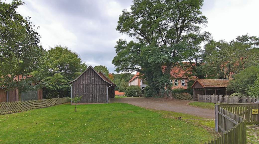 Das Kloster Isenhagen am Ortsrand von Hankensbüttel entstand in den Jahren 1345–1350 als Zisterzienserinnenkloster und ist seit 1540 ein evangelisches Damenstift.