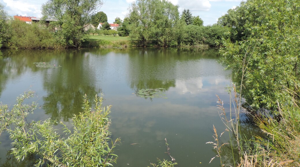 Dorfteich - Hohenseefeld/1