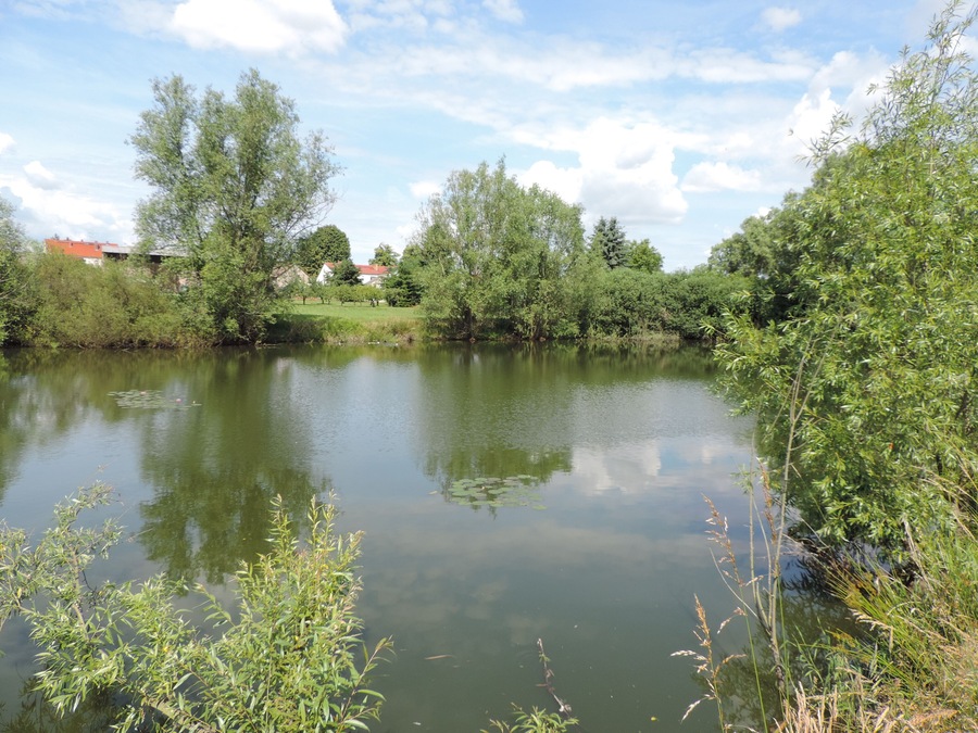 A calm river with dense greenery and a few buildings in the background.