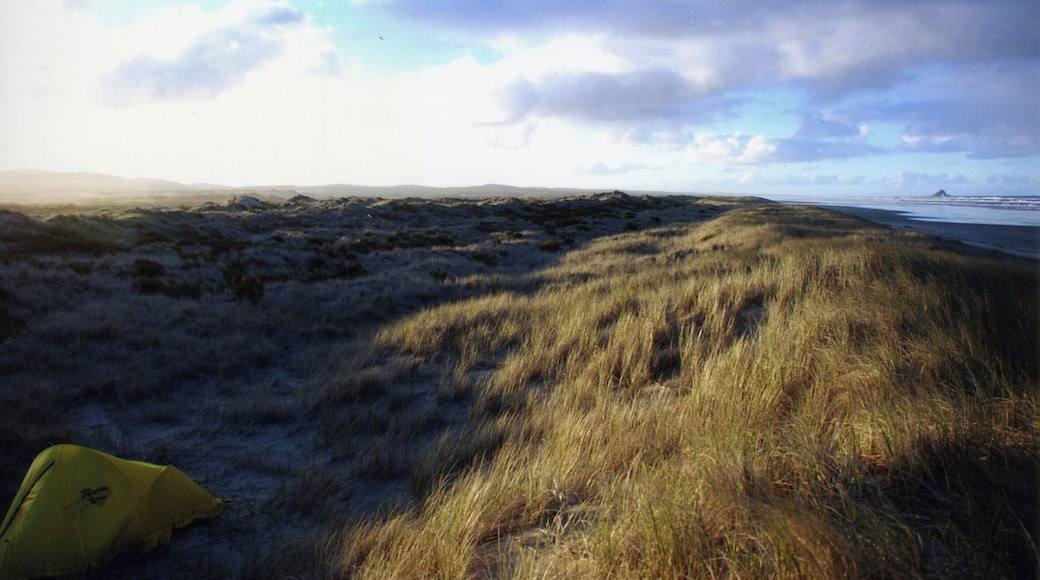 90 miles beach: first night under the stars. The trek goes from the last stretch of 90 miles beach to Spirits Bay passing by Cape Reinga.
