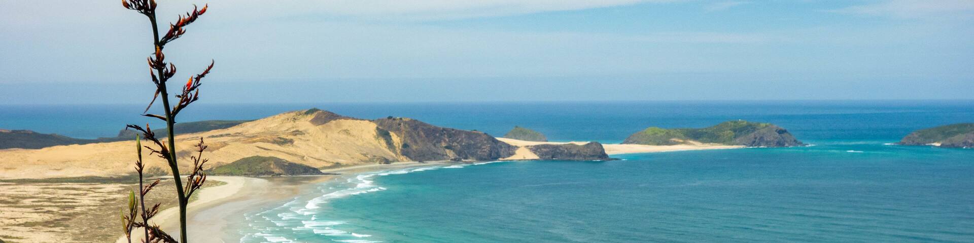 Cape Reinga featuring landscape views and general coastal views