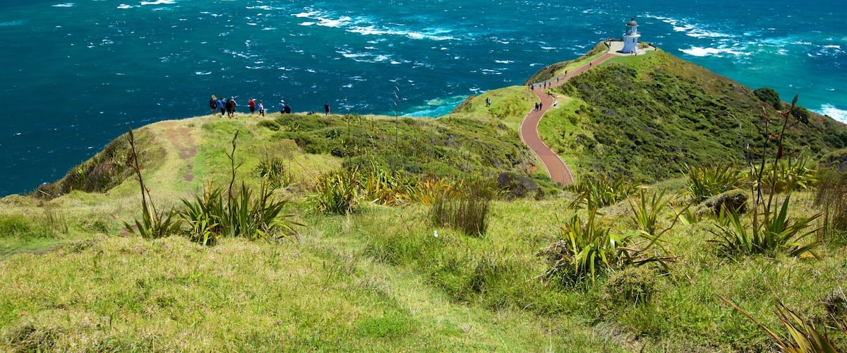 Cape Reinga showing general coastal views, a lighthouse and views