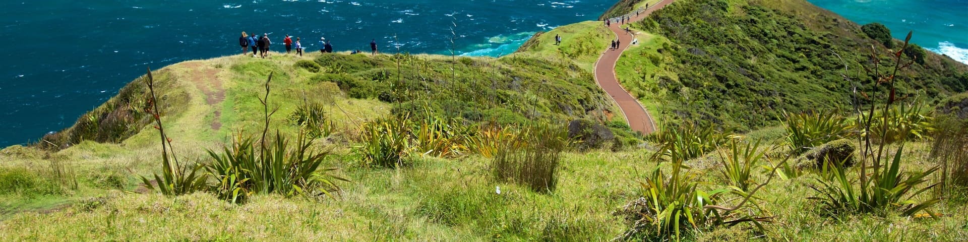 A coastal landscape with a lighthouse on a grassy hill overlooking the ocean.