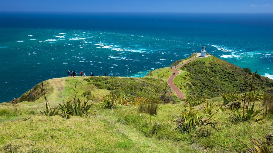 Cape Reinga featuring general coastal views, views and a lighthouse
