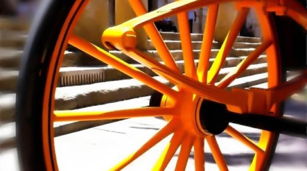 You see these beautiful horse-drawn carriages everywhere in Sevilla... and orange trees too... :-)