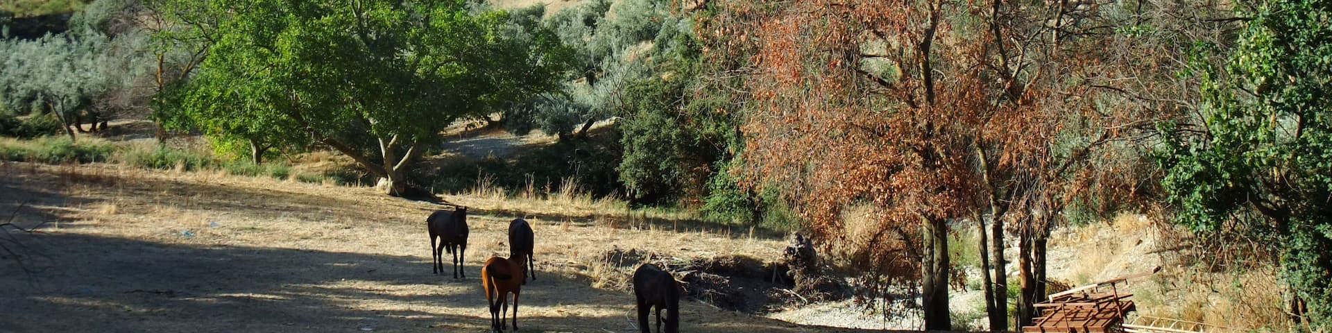 Landscape in Andalusia south of Carcabuey, Province Córdoba in Spain