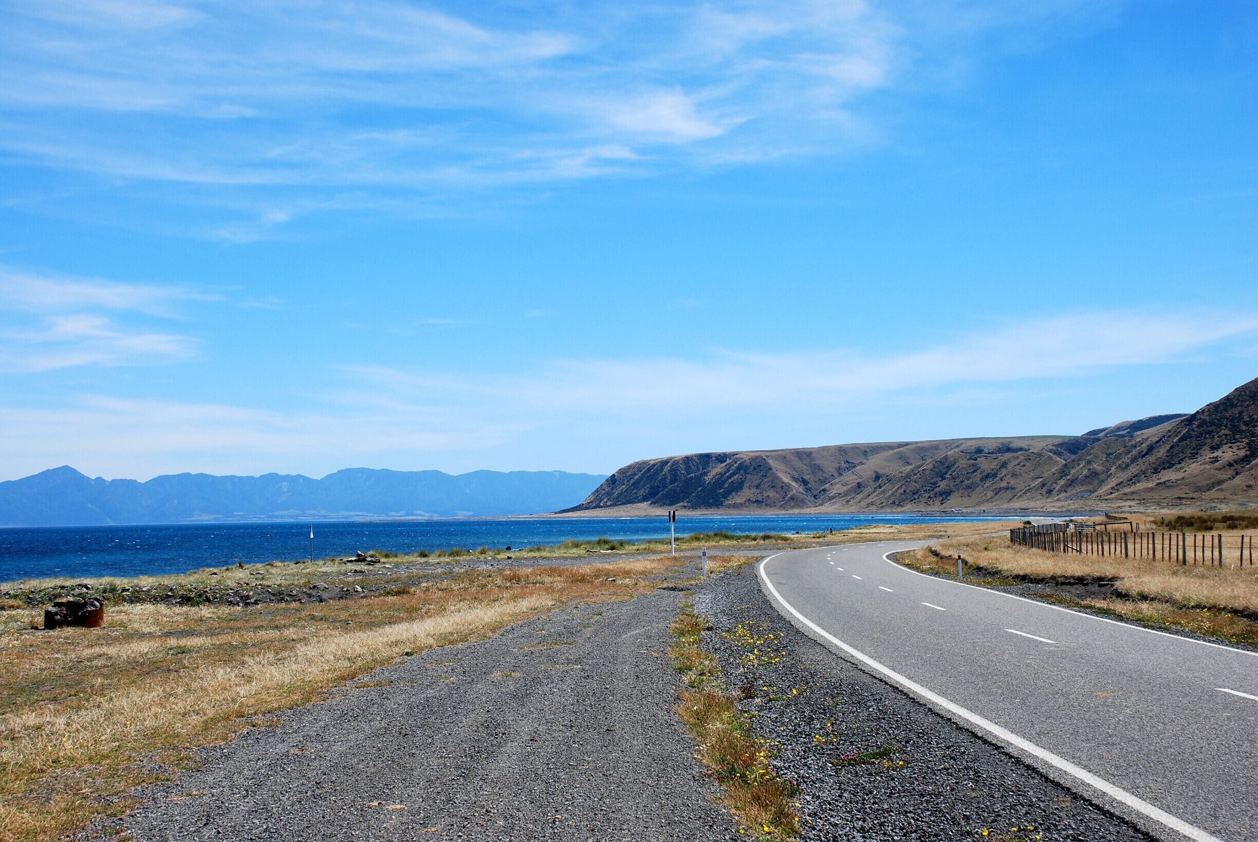Back from a 5-days trek in the Wairarapa forest.