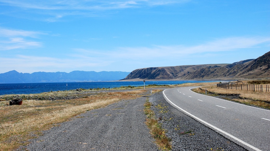 Back from a 5-days trek in the Wairarapa forest.