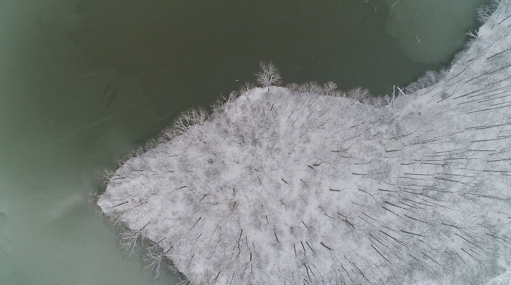 An aerial view of Lake Needwood in Rockville on a snowy day