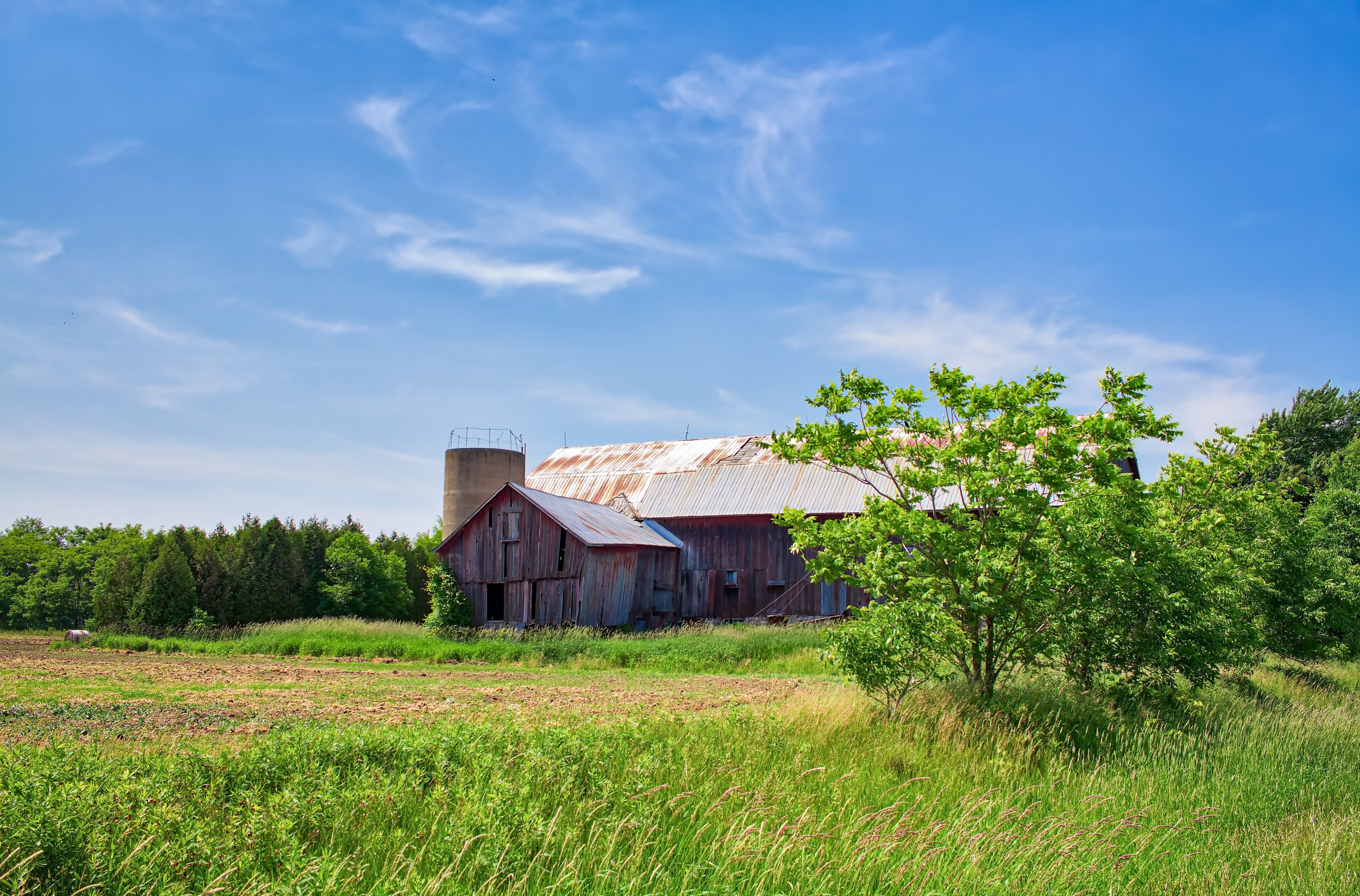 Old Barn in Ontario rural area - Canada