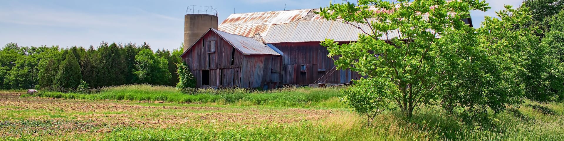 A rustic barn with a silo, surrounded by lush greenery and a clear blue sky.