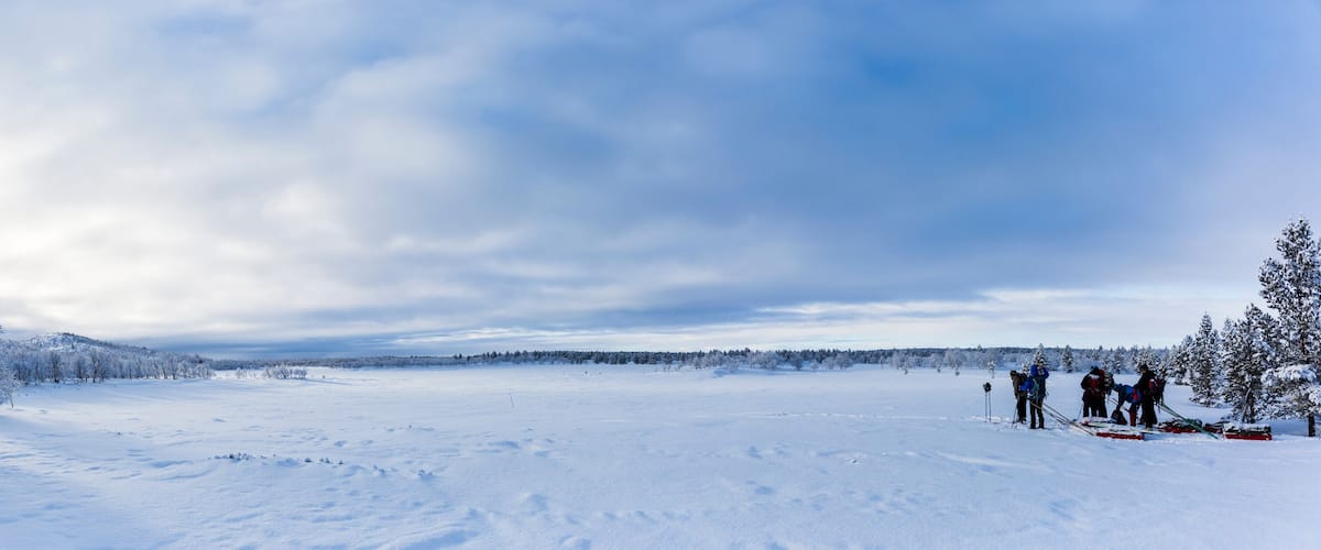 A snowy landscape with a group of people skiing and standing on the right side.