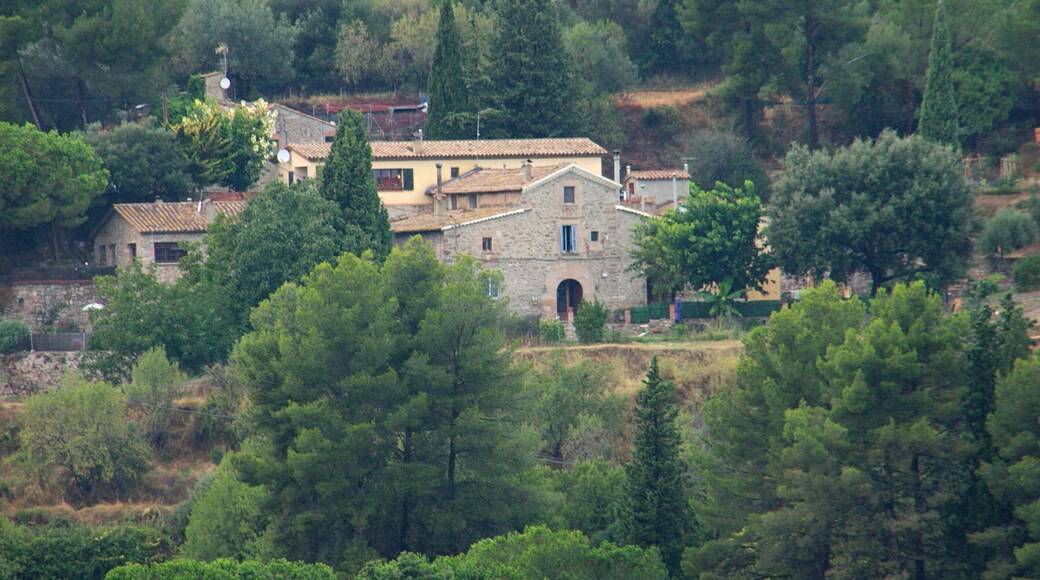 Can Lloberas (Sant Feliu de Codines)