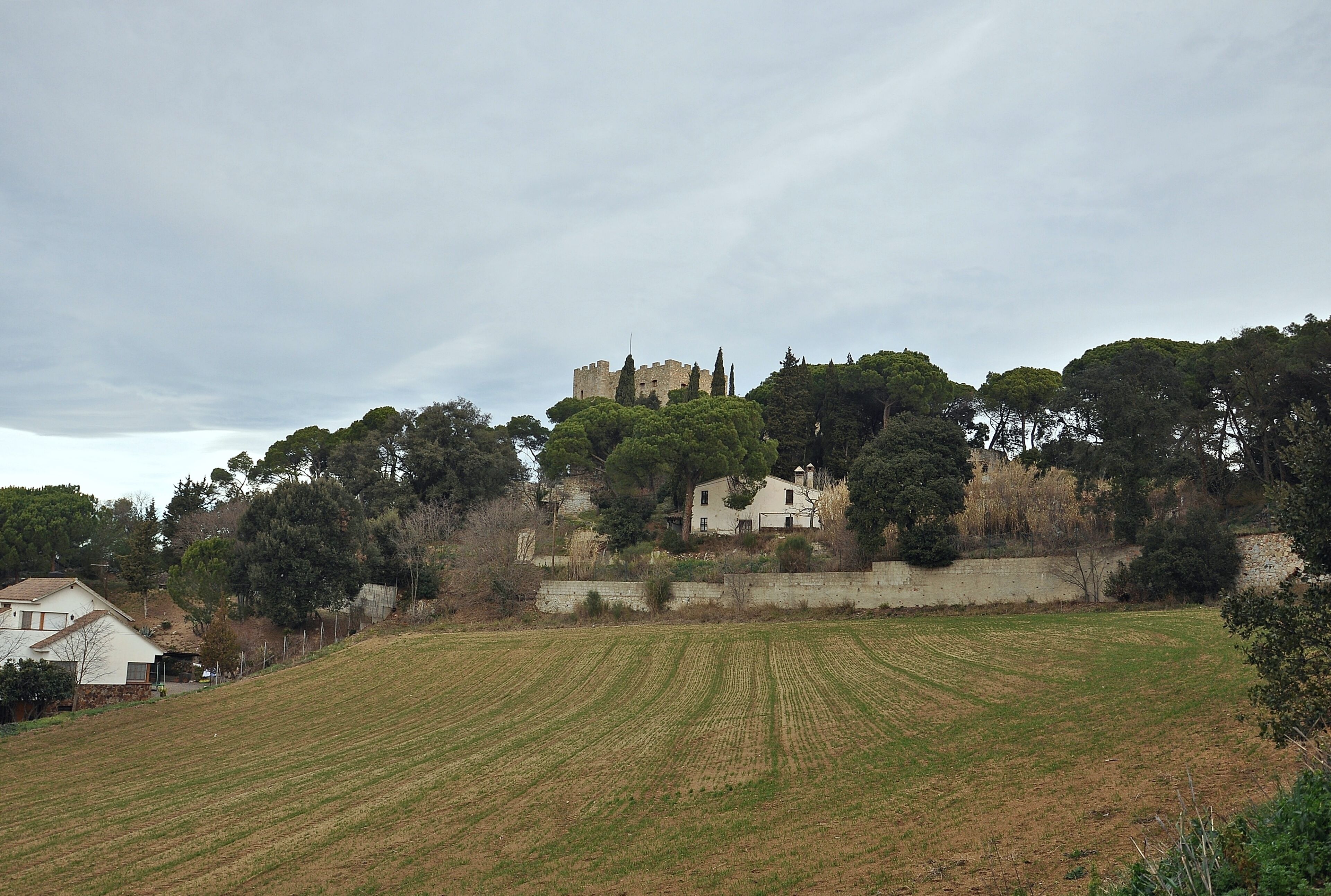 A castle on a hill with a field in the foreground.