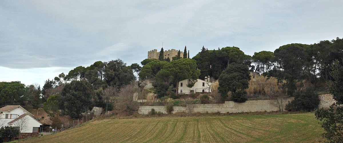 A castle on a hill with a field in the foreground.