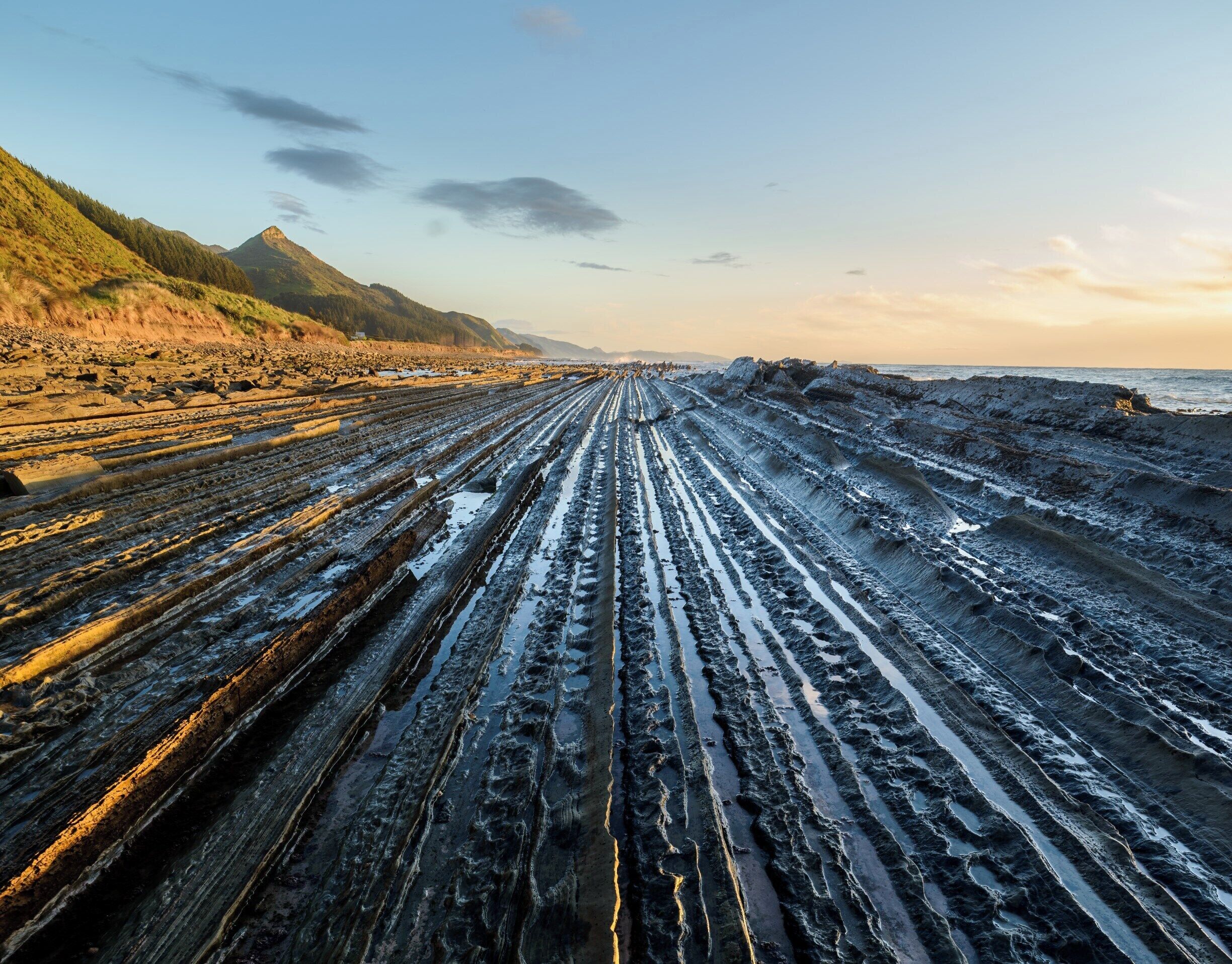 Just north of Castle Point are a series of reefs which are exposed at low, which forms parallel lines along the coast.

These lines are formed by layers of rock that have been twisted to be at a 45° angle.

This particular reef runs right next to the road.