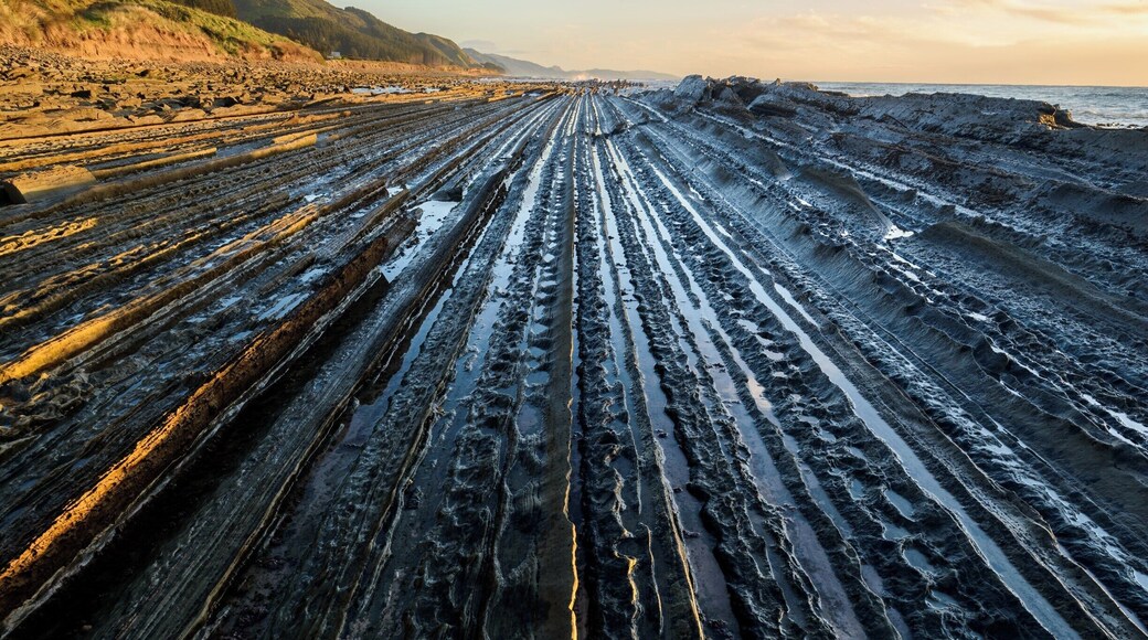 Just north of Castle Point are a series of reefs which are exposed at low, which forms parallel lines along the coast.
These lines are formed by layers of rock that have been twisted to be at a 45° angle.
This particular reef runs right next to the road.