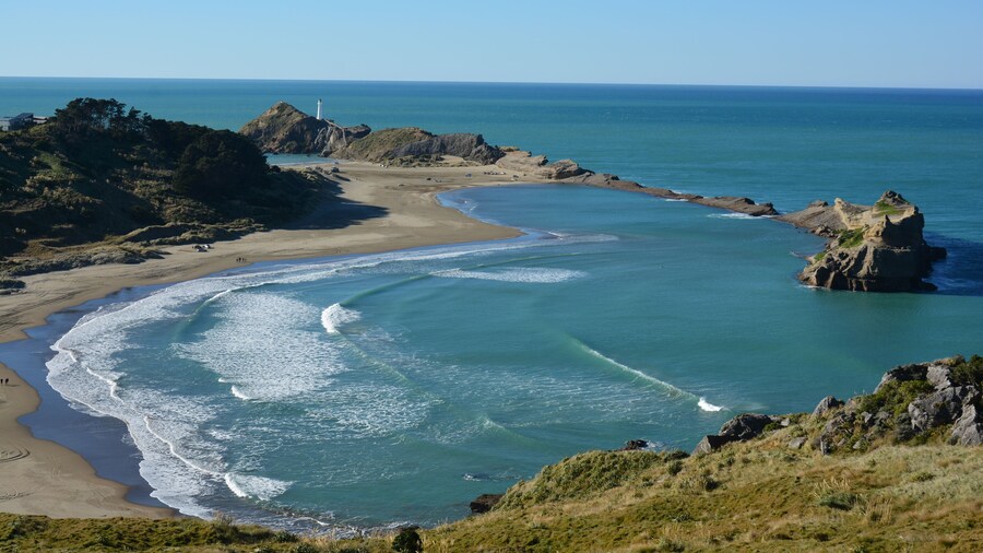 beautiful un-spoilt area at Castlepoint in the Wairarapa